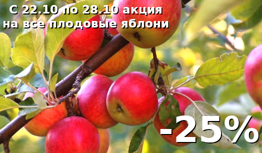 Плодовые яблони