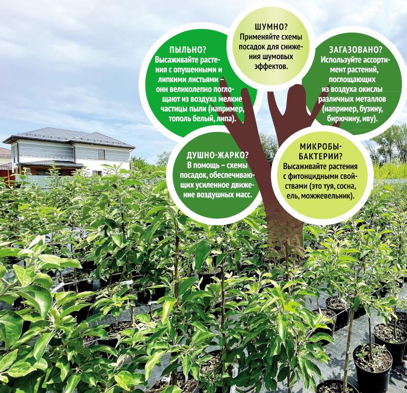 Хватит дышать пылью и месить грязь!