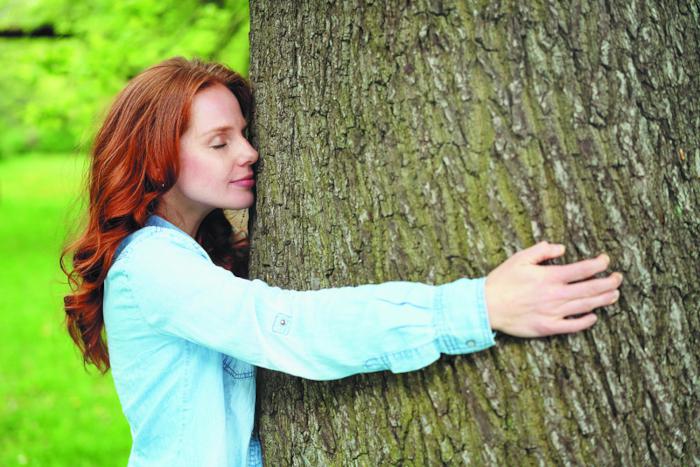 Весна: время новых деревьев!