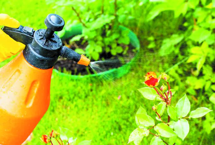 Полезная химия: учимся защищать и удобрять растения