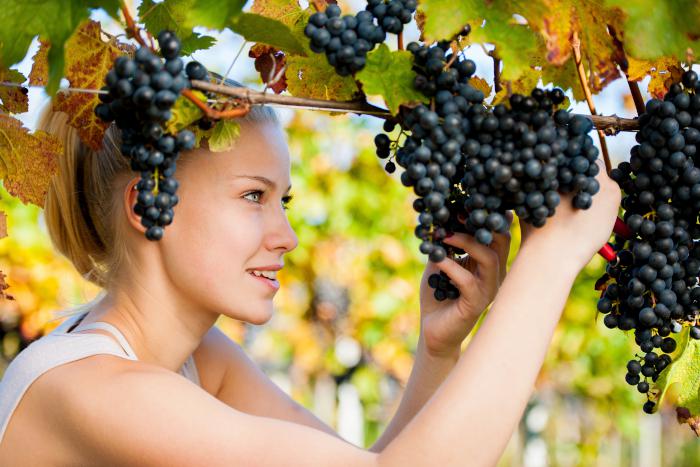 Ты мой сладкий виноград!